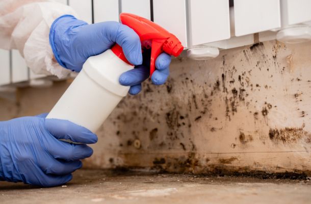 Mold-Remediation-in-Orlando-Florida